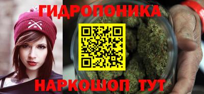 прущие грибы Беслан