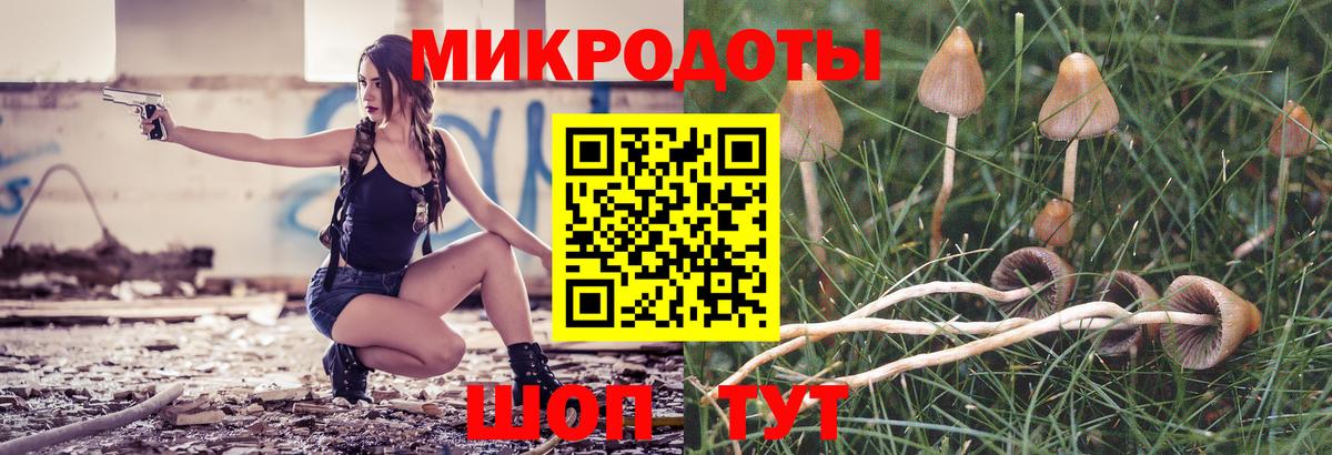Кизилюрт  Псилоцибиновые грибы прущие грибы  Вход с VPN 
